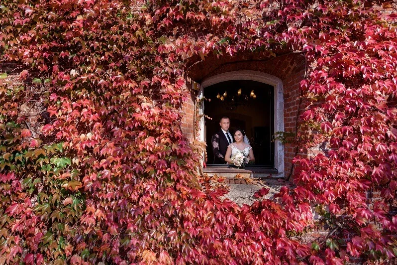 UAE expats to plan a marriage in Georgia
