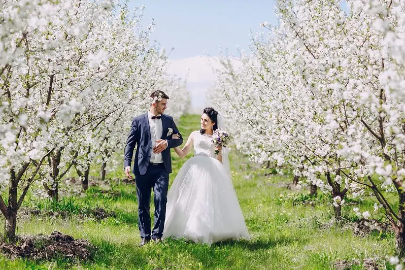 best wedding dress for a bride or groom